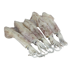 Mực Ống Phú Quốc, Hải Sản Biển Tự Nhiên Túi 500Gr